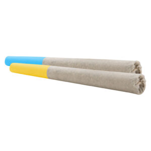 DOUBLE DUTCH BUSWIFI 41XICE CREAM CAKE+PINEAPPLE UPSIDE DO