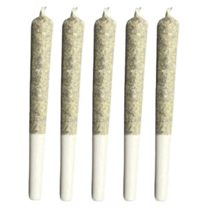 SLEEPING WITH THE STARS PRE-ROLL - 1x0.5g