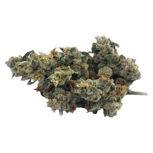 BLUENOSE BERRY - 7g