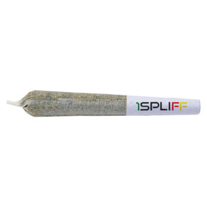 Purple Aya Pre-roll - 1