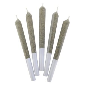 JELLY BEANZ PRE-ROLL - 5x0.5g