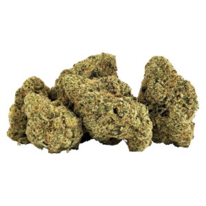 G13 BX1 - 7g