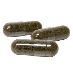 CBDA Capsules - 15