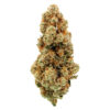EL JEFE - 7g