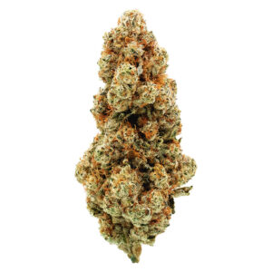 EL JEFE - 7g