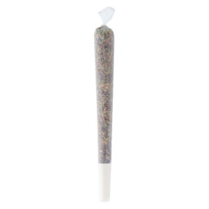 PINK SOUR PRE-ROLL - 2x1g