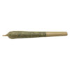 Future Island Pre-Roll - 2