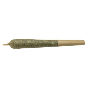 Future Island Pre-Roll - 2
