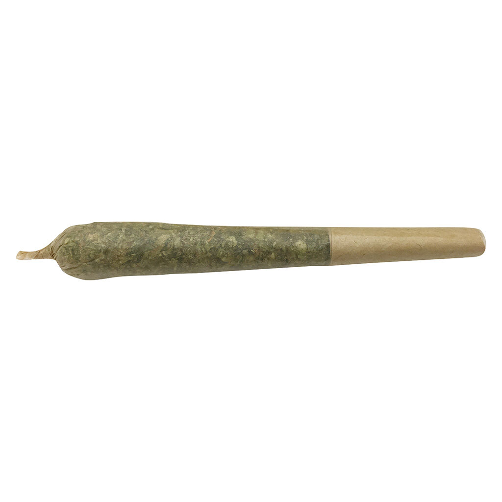 Future Island Pre-Roll - 2