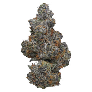 APPLE FRITTER - 7g