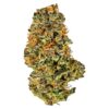 MAC AND CHEESE - 7g