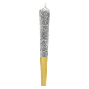 BANANA BREEZE INFUSED PRE-ROLL - 3x0.5g