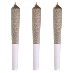 MAPLE PANCAKES PRE-ROLL - 1x0.5g