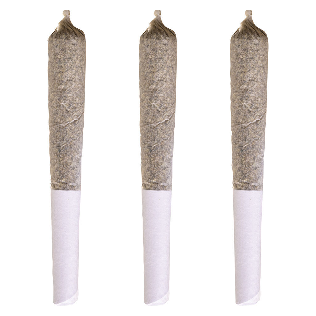MAPLE PANCAKES PRE-ROLL - 1x0.5g