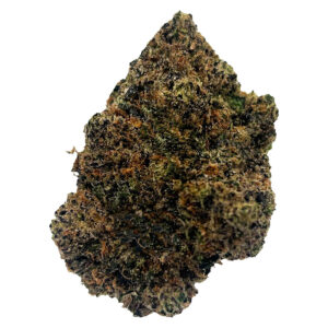 BEAVER TAIL - 7g