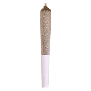 MANGO DREAM PRE-ROLL - 1x0.5g