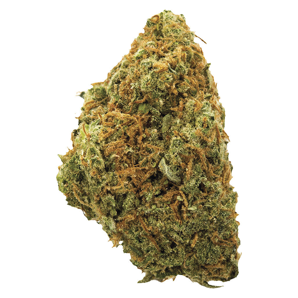 MOOSE TRACKS - 7g