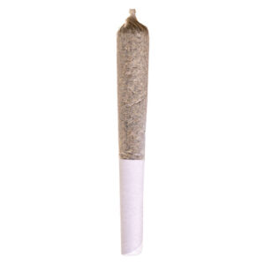 MOOSE TRACKS PRE-ROLL - 1x0.5g