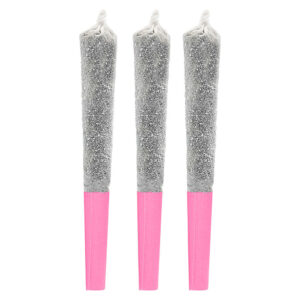 PASSION PARADISE INFUSED PRE-ROLL - 1x0.5g