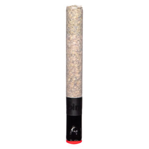 THE MAGNUM PRE-ROLL - 1x1.5g