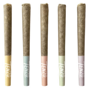 FUN STIX PRE-ROLL - 5x0.35g