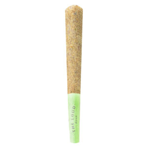 DRIPPYZ MELONHEAD INFUSED PRE-ROLL - 1x1g