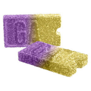 PASSION FRUIT MANGO THC & CBG GUMMY (1:1) - 2 Pack
