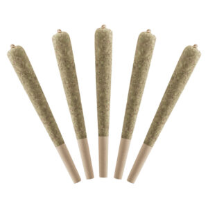 WILD BERRY INFUSED PRE-ROLL - 5x0.5g