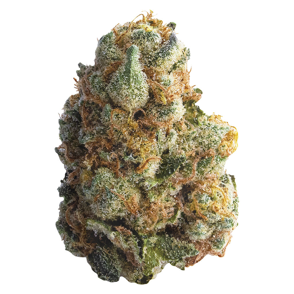 GMO COOKIES - 3.5g