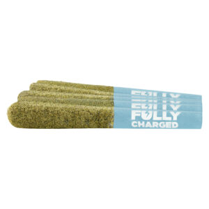 Fully Charged Rocket Icicle Infused Pre-Roll - 1x0.7g