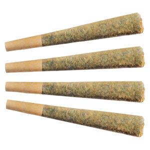 NIGHT RIDER INDICA PRE-ROLL - 4x1g
