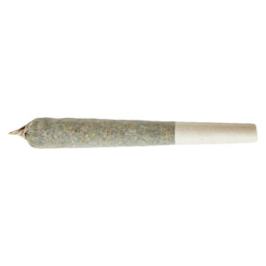 BEAST BERRY DISTILLATE INFUSED PRE-ROLL - 1x1g
