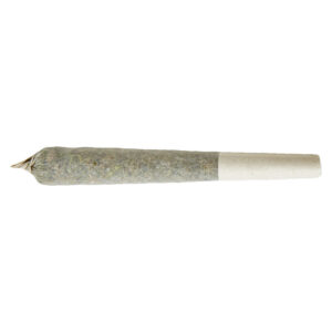 RED HAWAIIAN DISTILLATE INFUSED PRE-ROLL - 1x1g
