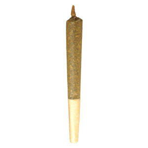 SATIVA PRE-ROLL - BUDDY BLOOMS - 1x1g