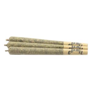 Animal Face Pre-Roll - 3