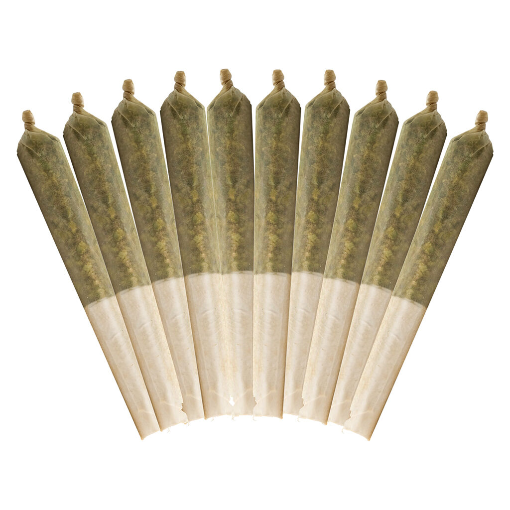 10TH PLANET PRE-ROLLS - 10x0.5g