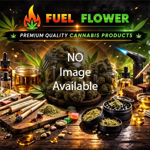 OCB BAMBOO CONE 6